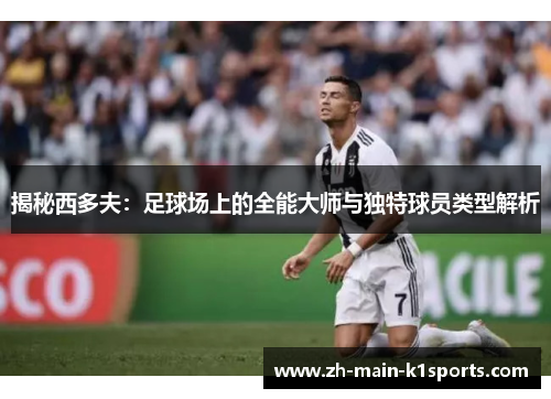 揭秘西多夫：足球场上的全能大师与独特球员类型解析