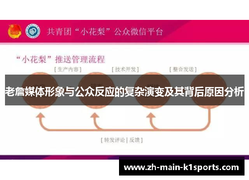 老詹媒体形象与公众反应的复杂演变及其背后原因分析