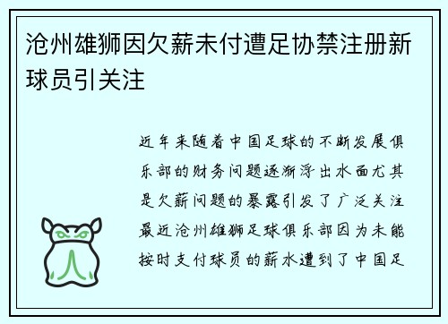 沧州雄狮因欠薪未付遭足协禁注册新球员引关注 沧州雄狮因欠薪未付遭足协禁注册新球员引关注